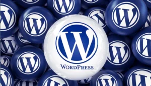 WordPress theme options being reviewed for a Hamilton business website