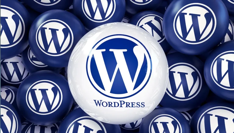 WordPress theme options being reviewed for a Hamilton business website